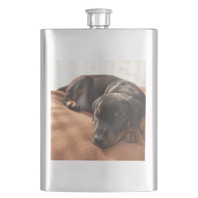 Doberman-pinscher-Puppy Flachmann (Vorderseite)