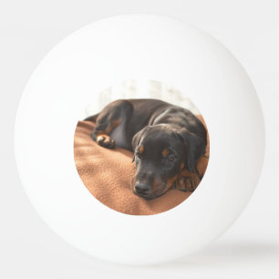 Doberman-pinscher-Puppy Tischtennisball