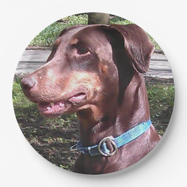 Doberman Pinscher Red Pappteller (Vorderseite)