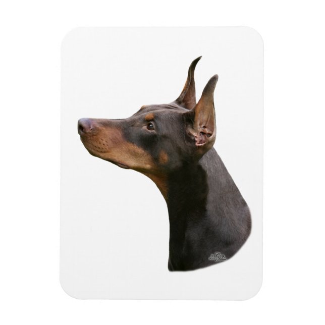 Doberman Pinscher - rot/braun Kopf Magnet (Vertikal)