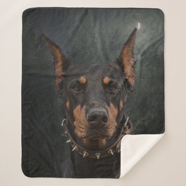 Doberman Pinscher Sherpadecke (Vorderseite)
