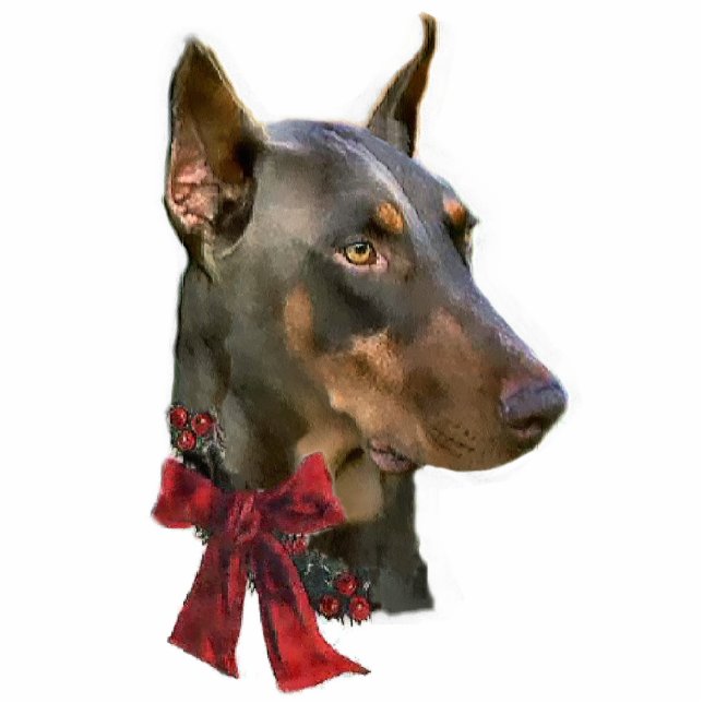 Doberman Pinscher Weihnachtsgeschenke Ornament Fotoskulptur Ornament (Vorne)