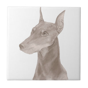 Doberman Portrait Fliese