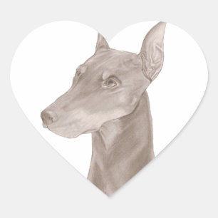 Doberman Portrait Herz-Aufkleber