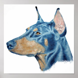 Doberman Poster