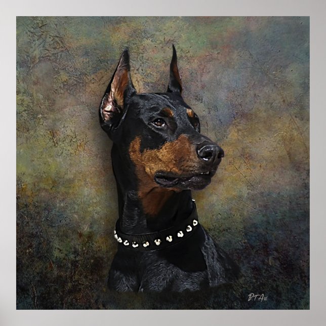 Doberman Poster (Vorne)