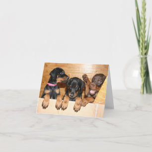Doberman Puppy Note Card Karte