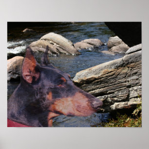 Doberman River Rocks Fantasy Art Poster