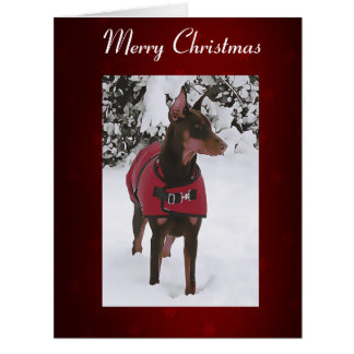 Doberman rouge en neige (ruban v11-1)