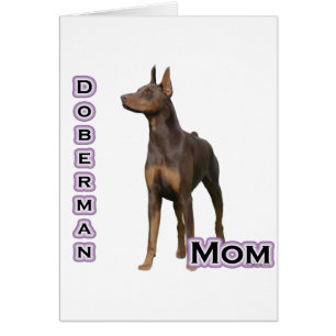 Doberman rouille Maman 4