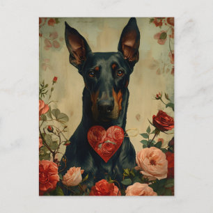 Doberman vintage Valentinstag Postkarte