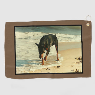 Dobermann am Strand-Malerei-Bild Golfhandtuch