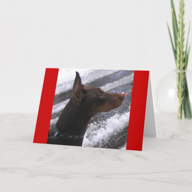 Dobermann avec la carte rouge de vacances de nez (Devant)