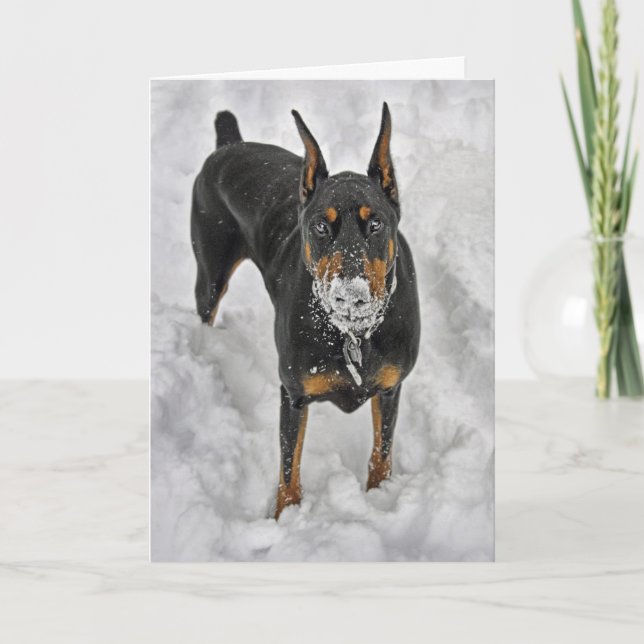 Dobermann die besten Freuden im Leben sind frei Dankeskarte (Vorderseite)