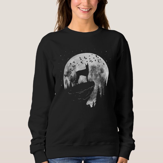 Dobermann Dog Breed Night Stroll for Dog Owner Sweatshirt (Vorderseite)