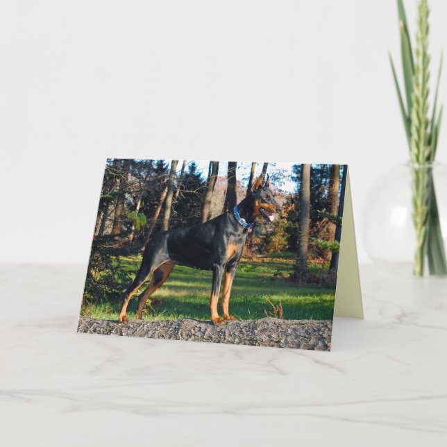 Dobermann-Gruß-Karte Karte (Vorderseite)