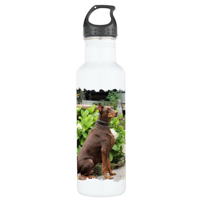Dobermann - im Kirchen-Garten Edelstahlflasche (Vorderseite)