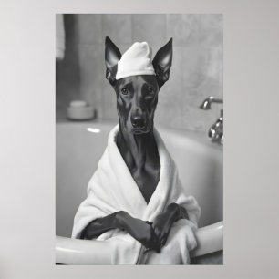 Dobermann in Bademantel, Lustige Badezimmer Kunst Poster