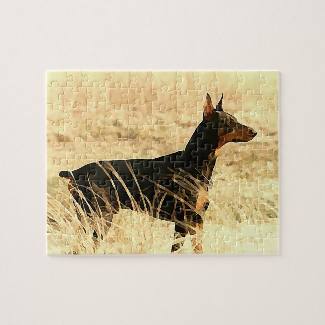 Dobermann in den trockenen Schilfen, die Bild (Horizontal)
