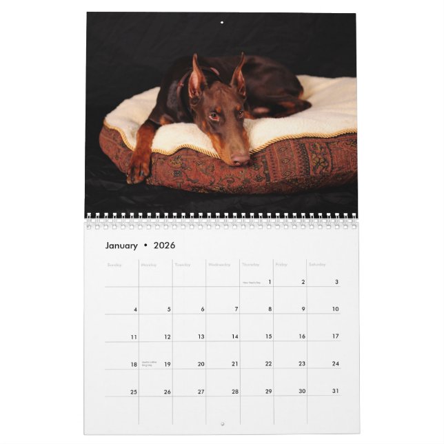 Dobermann-Kalender 2012 Kalender (Jan 2026)