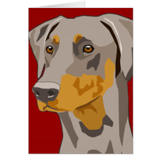 Dobermann-Kopf, Kitz, Uncropped