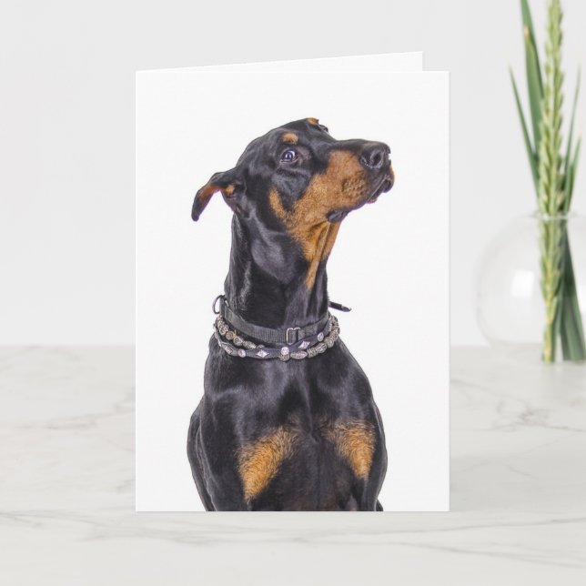 Dobermann mit hinterlistigem Blick wer ich? Karte (Vorderseite)