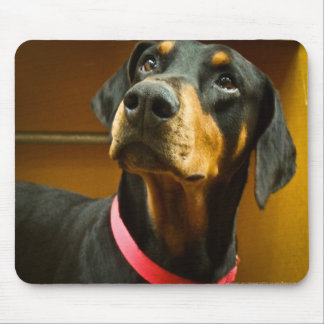 Dobermann Mousepad