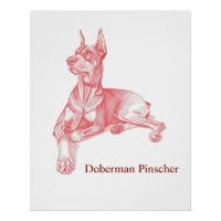 Dobermann Pinscher Bleistiftzeichnung Porträt Post