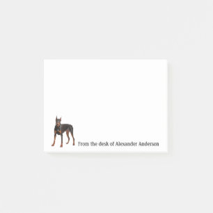 Dobermann Pinscher Individuelle Notizen