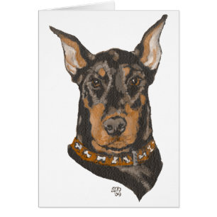 Dobermann-Pinscher-Kopfstudie