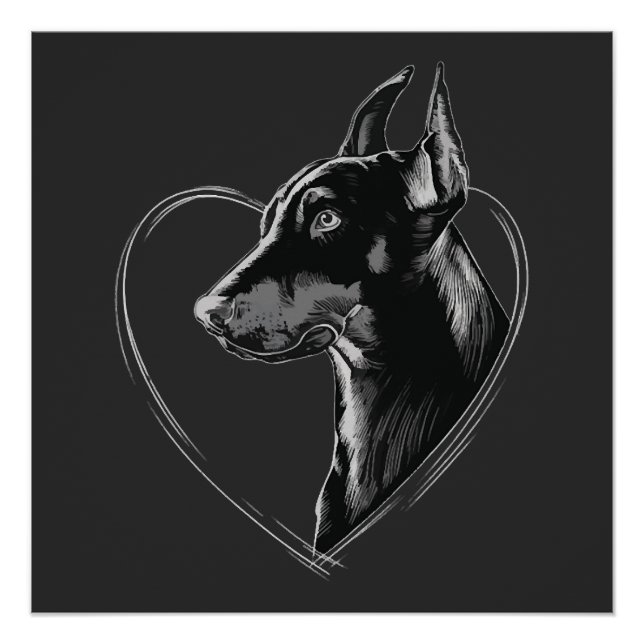 Dobermann Pinscher Poster (Vorderseite)