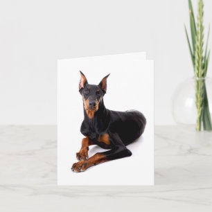 Dobermann Pinscher Welpen-Hund Blanko-Notizkarte / Karte