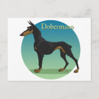 Dobermann