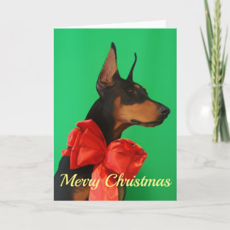 Dobermann Potrait mit rotem Weihnachtsbogen Karte
