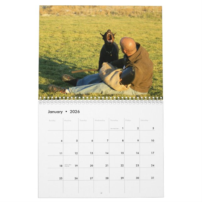 Dobermann-Schutzkalender Kalender (Jan 2026)