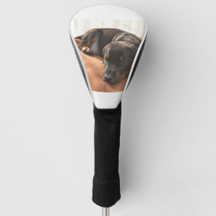 Dobermann-Welpe Golf Headcover