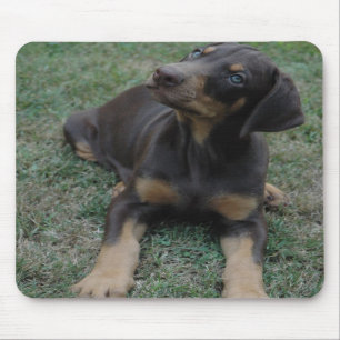 Dobermann-Welpe mousepad