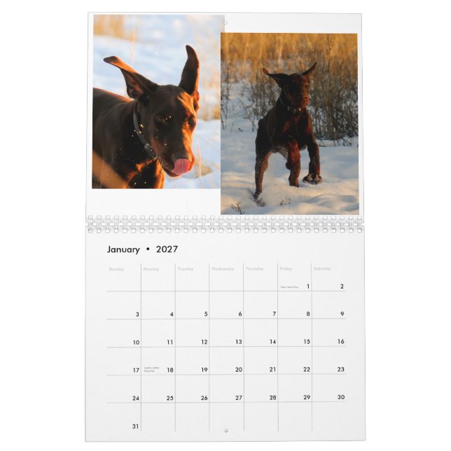 Dobermann-Welpen-Kalender 2012 Kalender (Jan 2027)