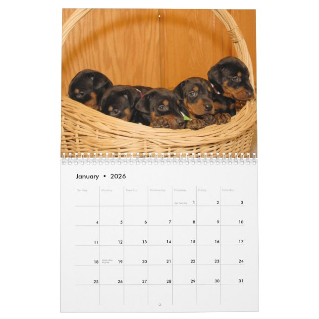 Dobermann-Welpen-Kalender aktualisierte 2012 Kalender (Jan 2026)