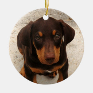 Dobermann-Welpen-Verzierung Keramikornament
