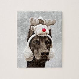 Dobermann-Winter-Porträt