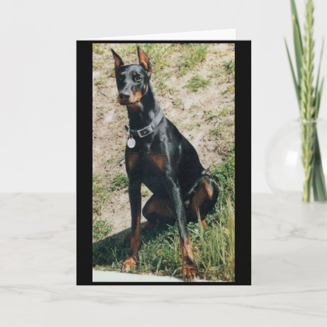 Dobermanngrußkarte Karte (Vorderseite)