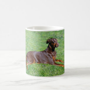 Dobermannhund Kaffeetasse