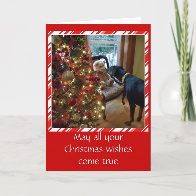 Dobermannhund, Teddybär, Weihnachtsgrußkarte Feiertagskarte (Vorderseite)