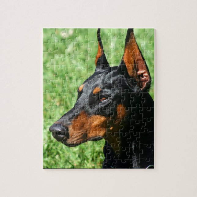 DobermannPinscher (Vertikal)