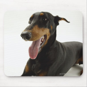 DobermannPinscher 2 Mousepad