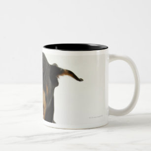 DobermannPinscher 2 Zweifarbige Tasse