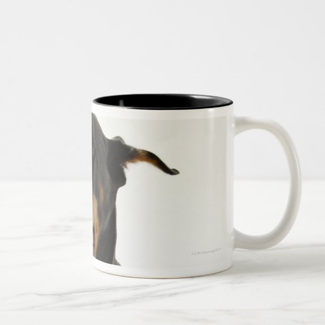 DobermannPinscher 2 Zweifarbige Tasse (Rechts)