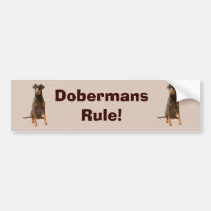Dobermannpinscher-Autoaufkleber Autoaufkleber