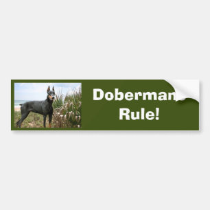 Dobermannpinscher-Autoaufkleber Autoaufkleber